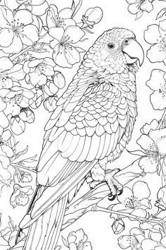 a bird sitting on top of a tree branch with flowers in the background and coloring pages below