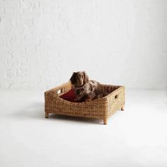 a brown dog laying in a wicker bed on top of a white floor next to a brick wall