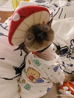 a cat wearing a hat and pajamas on top of a bed