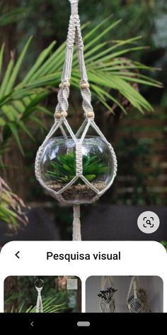 a glass ball hanging from a rope with plants in it and some other things inside