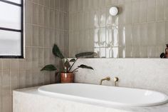 a white bath tub sitting under a window next to a plant in a vase on top of a counter