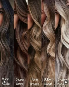 Brown Hair Chart, Brown Hair With Blonde Lowlights, Black Hair Balayage, Honey Brown Hair, Hair Color Options, Brown Hair Inspo, Hair Inspiration Long, Brunette Hair With Highlights