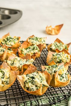 spinach dip cups on a cooling rack with other appetizers in the background