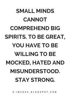 a quote that says, small minds cannot't comprehend big spirits to be