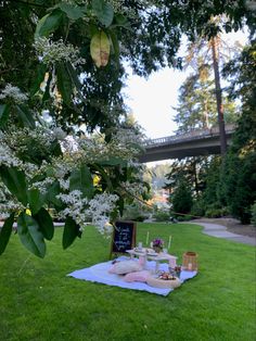 an outdoor picnic is set up on the grass