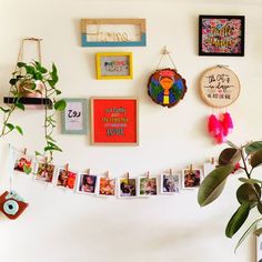 there are many pictures hanging on the wall and some plants in front of them,