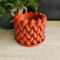 a potted plant sitting on top of a wooden table