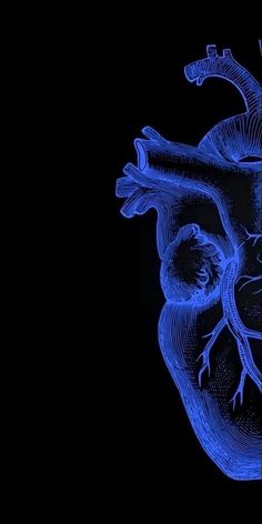 an image of the human heart in blue light