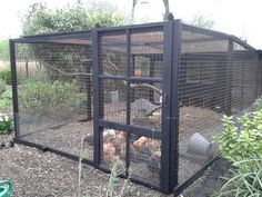 there is a cage with chickens in it on the side of the road near some bushes