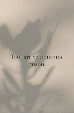 the shadow of a plant on a wall that says, tout arrive pour une raison