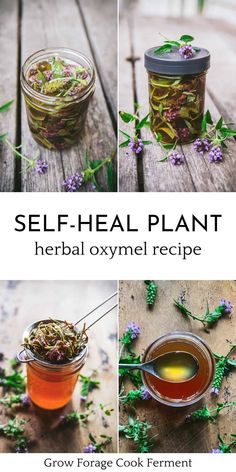 homemade herbal oxymel recipe made with self heal plant Herb Infused Honey, Medicinal Herbs Remedies, Benefits Of Mindfulness, Medical Herbs