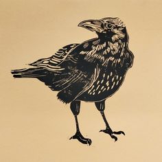 a black and white drawing of a bird