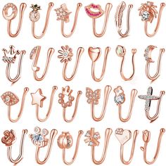 many different types of rings and clips