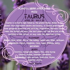 a purple flower with the words taurus written on it in front of some flowers