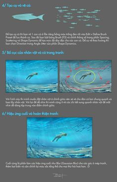 an info sheet describing how to fish in the ocean with pictures and text on it