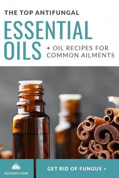 Essential Oils For Candida, Antifungal Essential Oil, Essential Oils For Thyroid, Essential Oils For Beginners, Selling Essential Oils, Fungal Infection Skin, Top Essential Oils, Natural Alternatives, Using Essential Oils