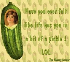 an image of a woman in a cucumber with the caption, i have you ever felt like life has you in a bit of a pickle lol