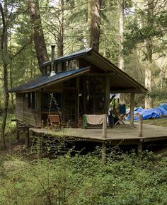 a small cabin in the woods surrounded by tall trees and greenery, with a covered porch