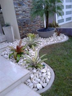 a small garden with rocks and plants in the front yard, next to a house