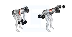 Hip Extension Exercise, Rear Delt Fly, Delt Fly, Hip Extension, Workout Gym Routine, Dumbbell Workouts, Shoulder Workouts, Rear Delt, Sport Training