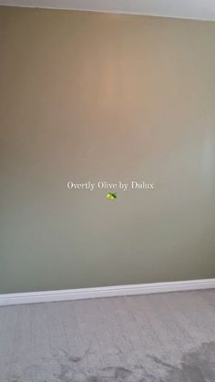 empty room with carpeted floor and walls painted in light green, white and gray