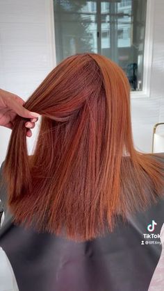 Copper Silk Press, Haircut Trim, Highlight Ideas, Beauty Careers, Ginger Brown, Girl Hair Colors, Hot Colors, Red Brown Hair, Black Hair With Highlights