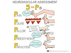 Nursing School: Assessment Mnemonics Nurse Notes, Nursing Student Tips