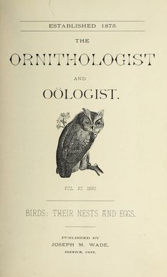 an old book with an owl sitting on it's back cover and the title in english