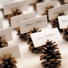 pine cones with place cards attached to them