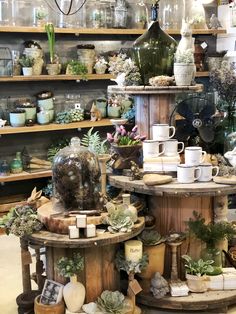 a room filled with lots of different types of plants and vases on shelves next to each other