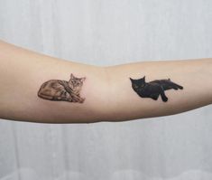 a cat and a black cat tattoo on the left arm, both showing their tails