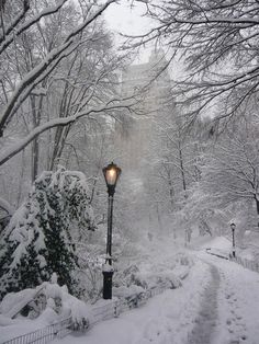 a street light in the middle of a snowy park