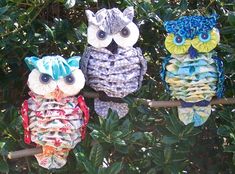 three owls sitting on top of a tree branch