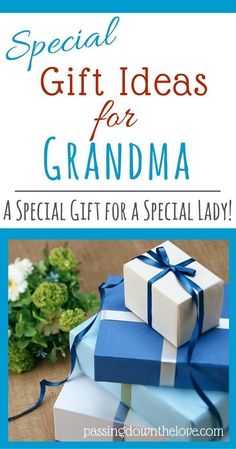 gift ideas for grandma with text overlay that reads special gift ideas for grandma as special gift for a special lady