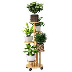 PRICES MAY VARY. 🔦【Easy to Assemble】Instruction manual, tools, and screws in our package allow you to easily and quickly install the 5-tier removable plant stand with wheels. Once installed you can have a 5-tier (7.5") flower stand. In addition to displaying your lovely bonsai, it can also be used to display photo albums, trophies, ornaments, etc. ✨【Removable Plant Stand on Wheels】plant stand has 4 removable and fixable wheels。 so that you can move the plant stand at will. Easier to clean. This Tiered Plant Stand Indoor, Corner Plant Stand, Tiered Plant Stand, Tall Plant Stand, Plant Stand With Wheels, Plants Stand, Tiered Planter, Tall Plant, Tall Plant Stands