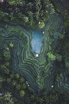 an aerial view of some trees and water in the middle of it's land