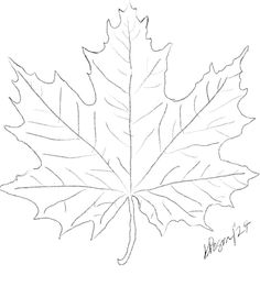 a drawing of a maple leaf