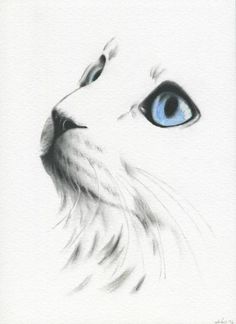 a drawing of a cat's face with blue eyes