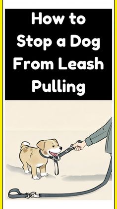 a person is pulling a leash with a dog on it and the words how to stop a dog from leash pulling