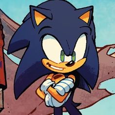 an image of a cartoon character that looks like sonic the hedge