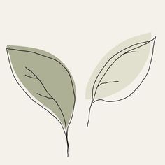 two green leaves on a white background, one is black and the other is gray