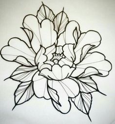 a drawing of a flower on a white wall