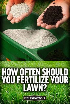 two hands are scooping dirt into a green wheelbarrow with the words how often should you fertilize your lawn?