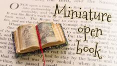 an open book with the words miniatureture open book on it's page and a red string