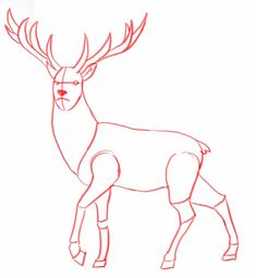 how to draw a deer with pencils