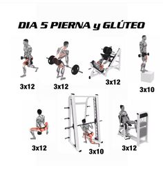 the diagram shows different types of gym equipment