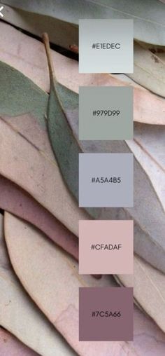 several shades of gray and pink are shown in this image, with the same color scheme