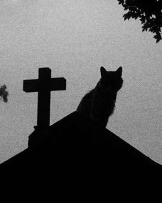 a cat sitting on top of a roof next to a cross