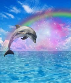 a dolphin jumping out of the water with a rainbow in the sky behind it and clouds