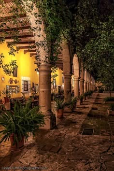 an outdoor courtyard at night with potted plants on the ground and yellow walls in the background